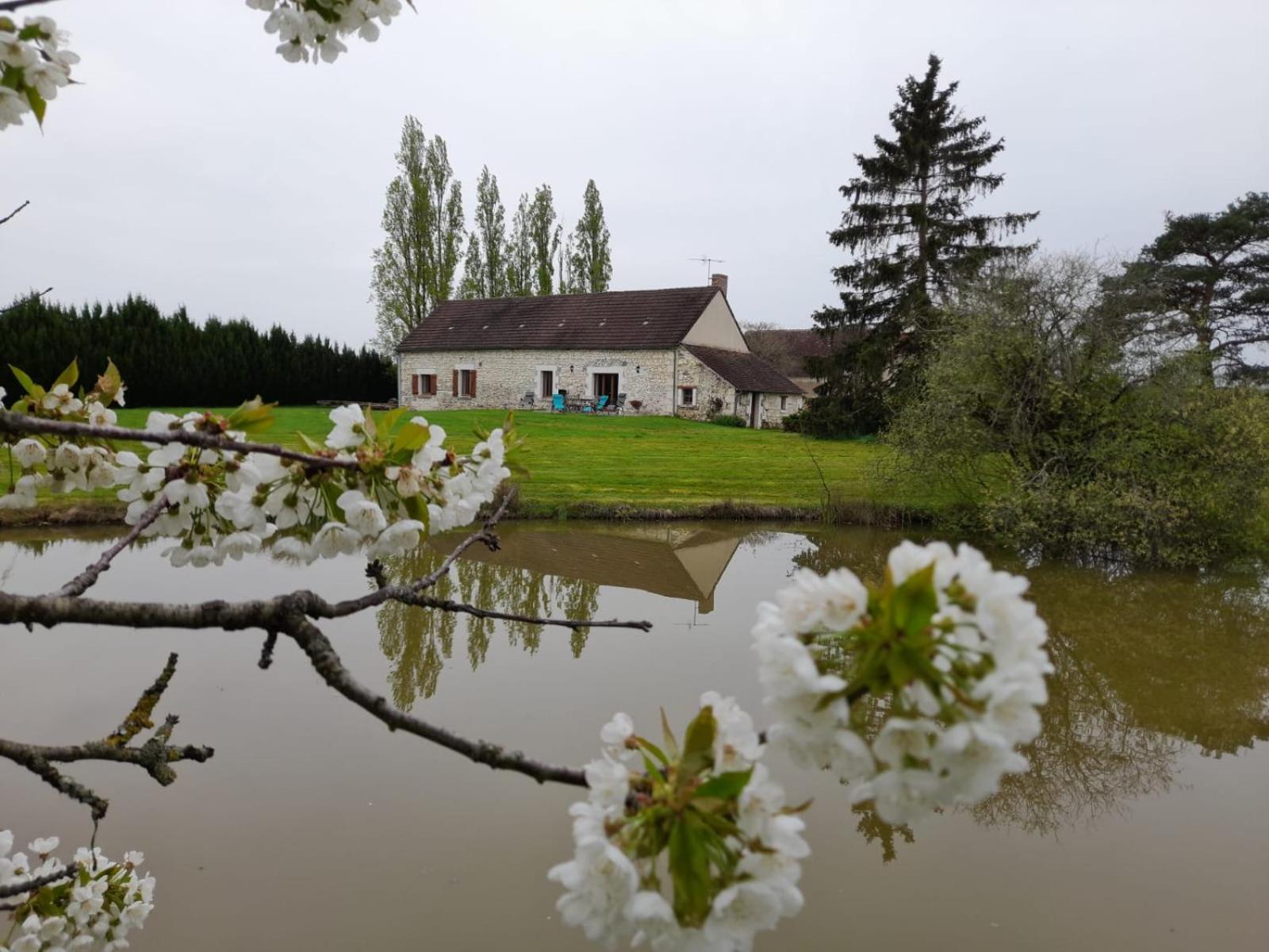 Ferienhaus Le Du Haut-breuil 4-10 Pers Proche De Beauval Chateaux De La Loire Vicq-sur-Nahon